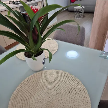 Apartment Duje *